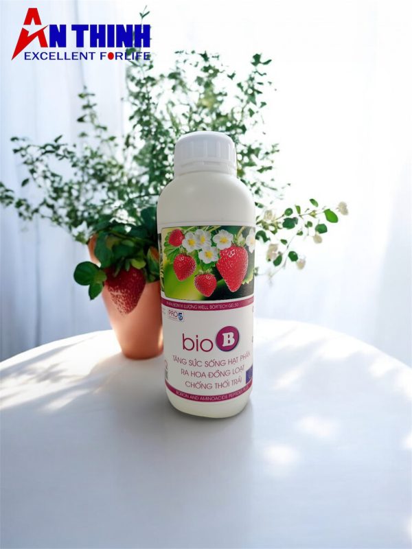 Photoroom_20260120_084625