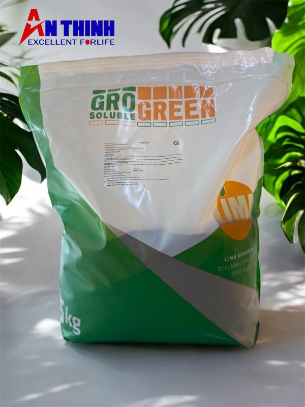 Photoroom_20260119_141746 2