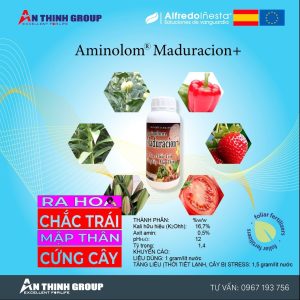 Trái chín - Lên màu