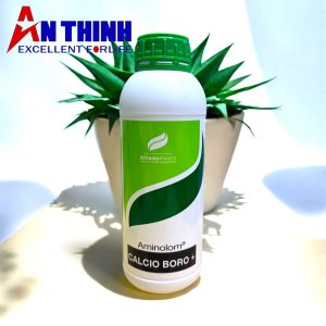 Ra hoa - Đậu trái