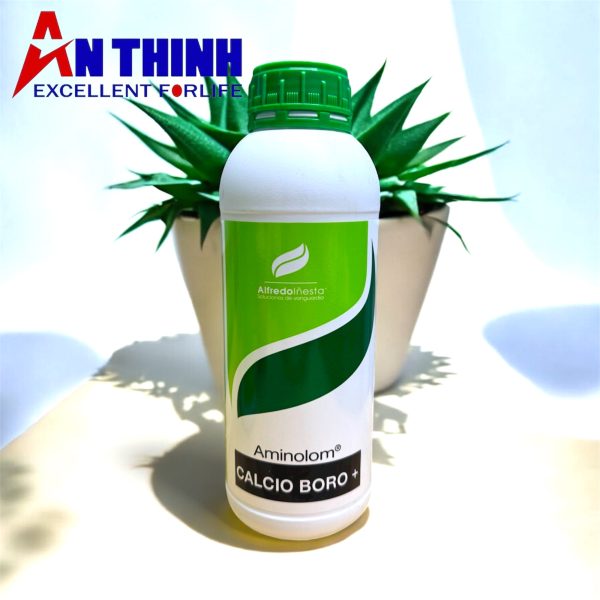 Photoroom_20251030_122827