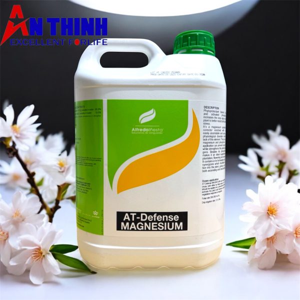 Photoroom_20251030_122944