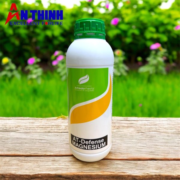 Photoroom_20251030_123039