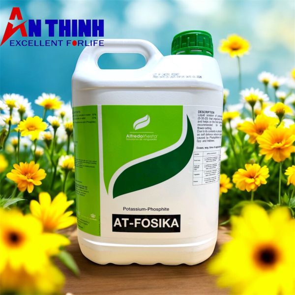 Photoroom_20251030_123350