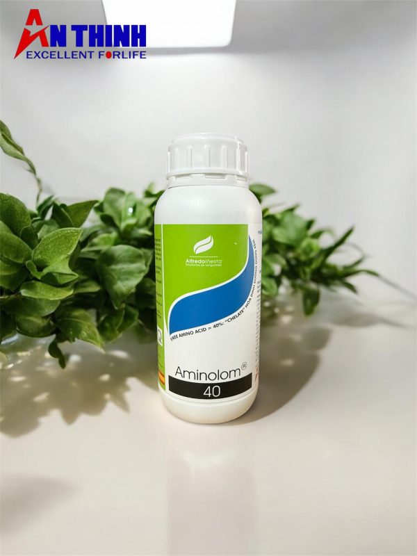 Photoroom_20260107_041957