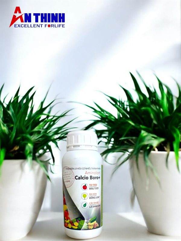 Photoroom_20260120_095426