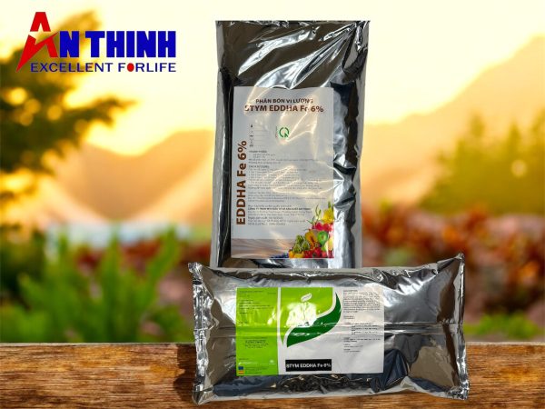 Photoroom_20260120_132723